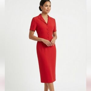 Beautiful Shomi 100% Silk Dress NWT